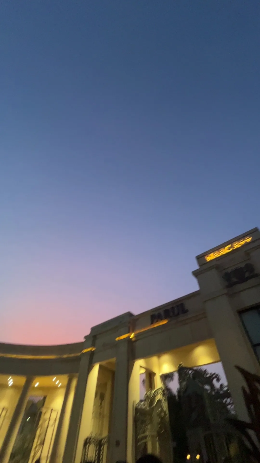 A student’s view of campus